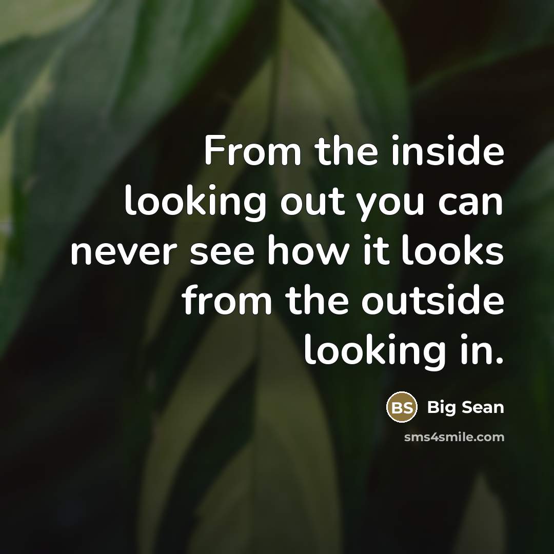 “From the inside looking out you can never see how…” quote by Big Sean
