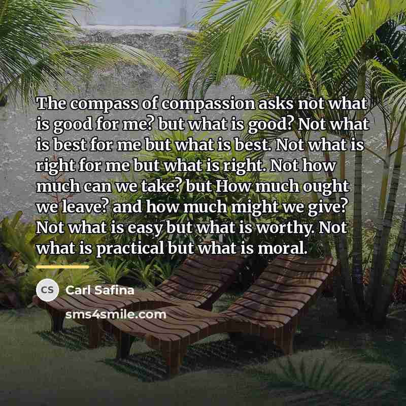 “The compass of compassion asks not what is good for…” quote by Carl Safina