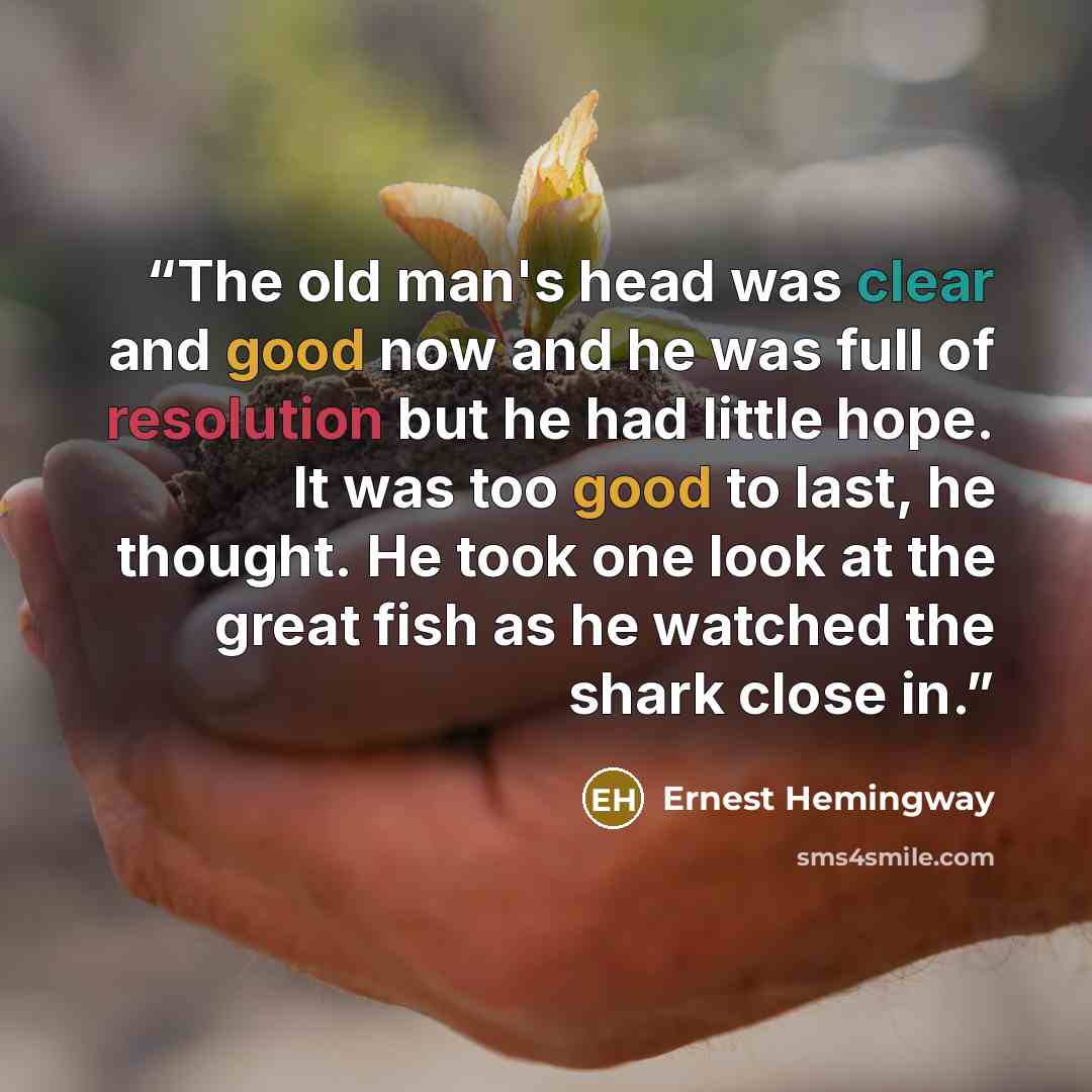 “The old man's head was clear and good now and he was full of resolution but he had little hope. It was too good to last, he thought. He took one look at the great fish as he watched the shark close in.” quote by Ernest Hemingway