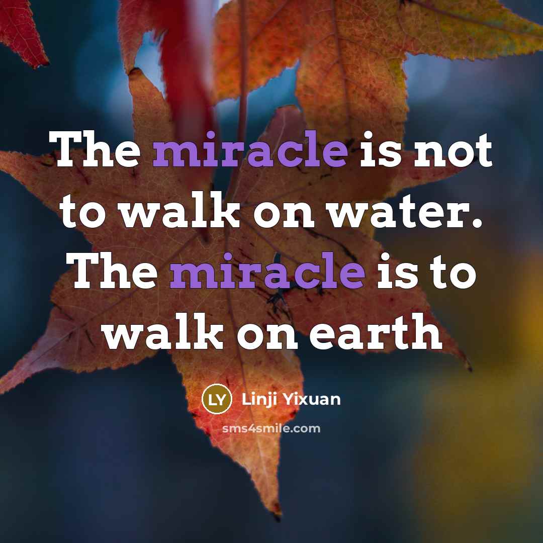“The miracle is not to walk on water. The miracle…” quote by Linji Yixuan
