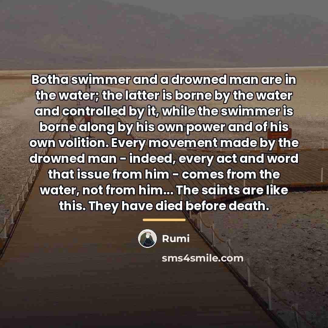 “Botha swimmer and a drowned man are in the water;…” quote by Rumi