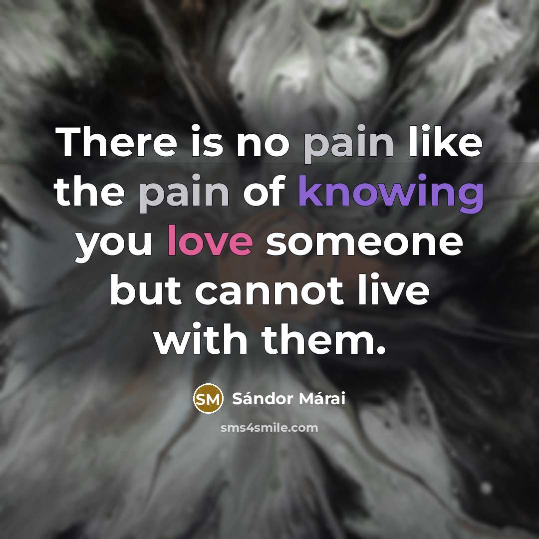 “There is no pain like the pain of knowing you…” quote by Sándor Márai