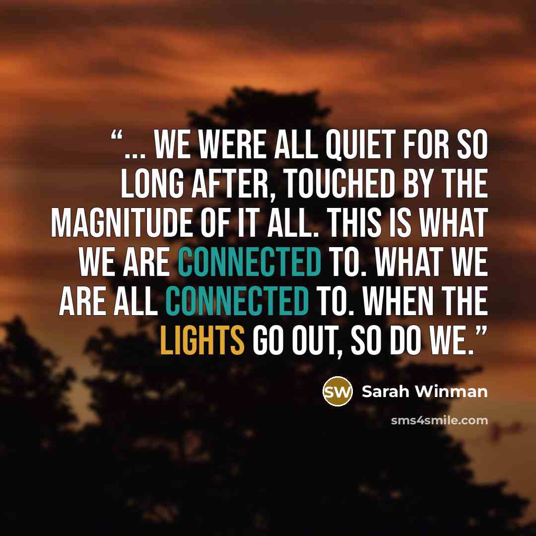 “... we were all quiet for so long after, touched by the magnitude of it all. This is what we are connected to. What we are all connected to. When the lights go out, so do we.” quote by Sarah Winman