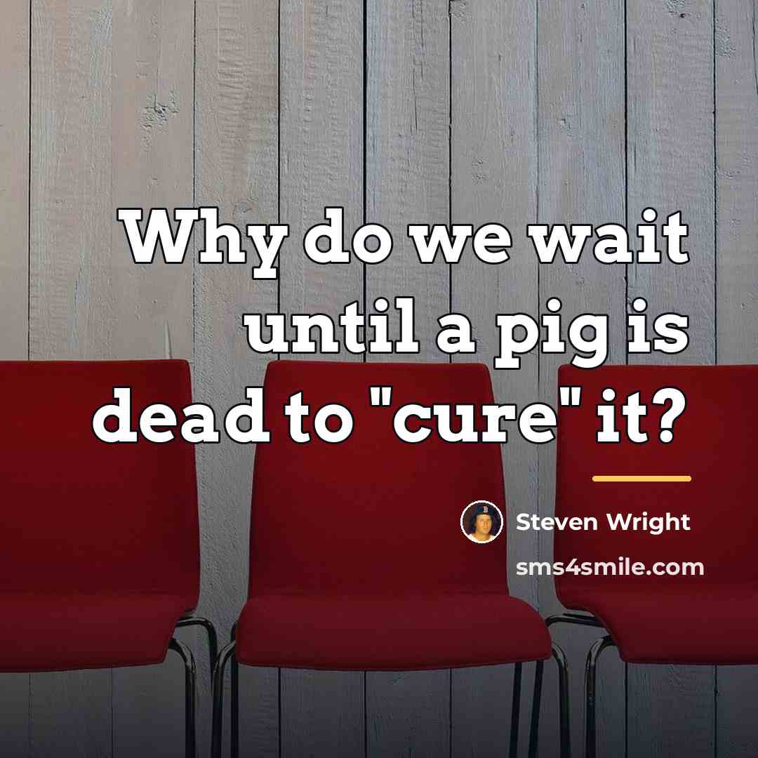 “Why do we wait until a pig is dead to…” quote by Steven Wright