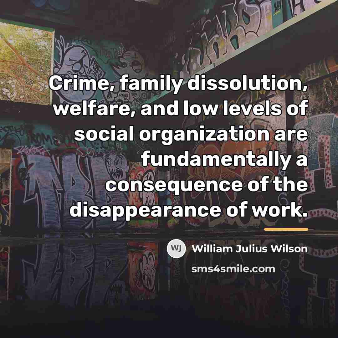 “Crime, family dissolution, welfare, and low levels of social organization…” quote by William Julius Wilson
