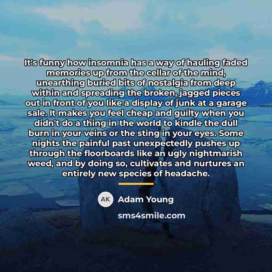 “It's funny how insomnia has a way of hauling faded…” quote by Adam Young