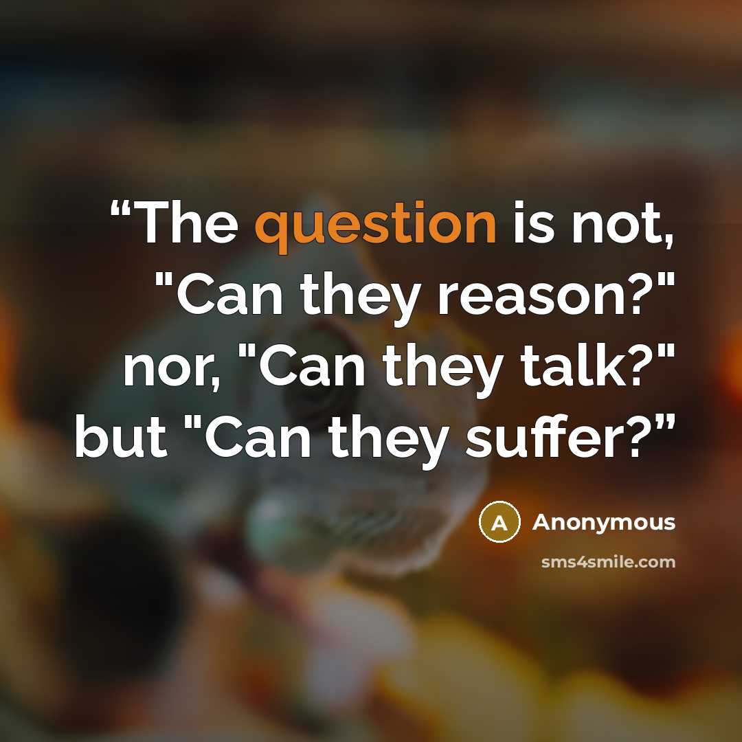 “The question is not, "Can they reason?" nor, "Can they talk?" but "Can they suffer?” quote by Anonymous