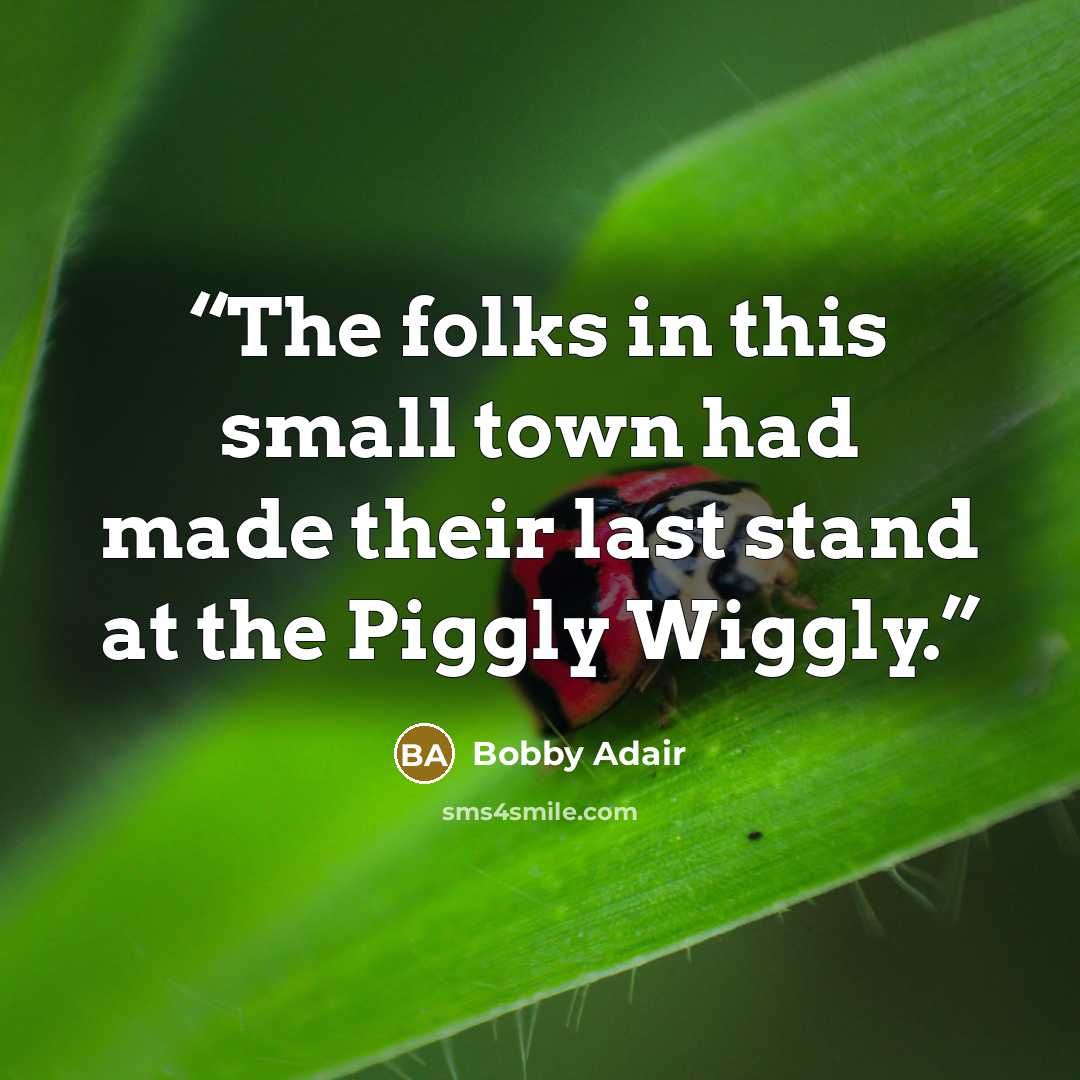 “The folks in this small town had made their last stand at the Piggly Wiggly.” quote by Bobby Adair