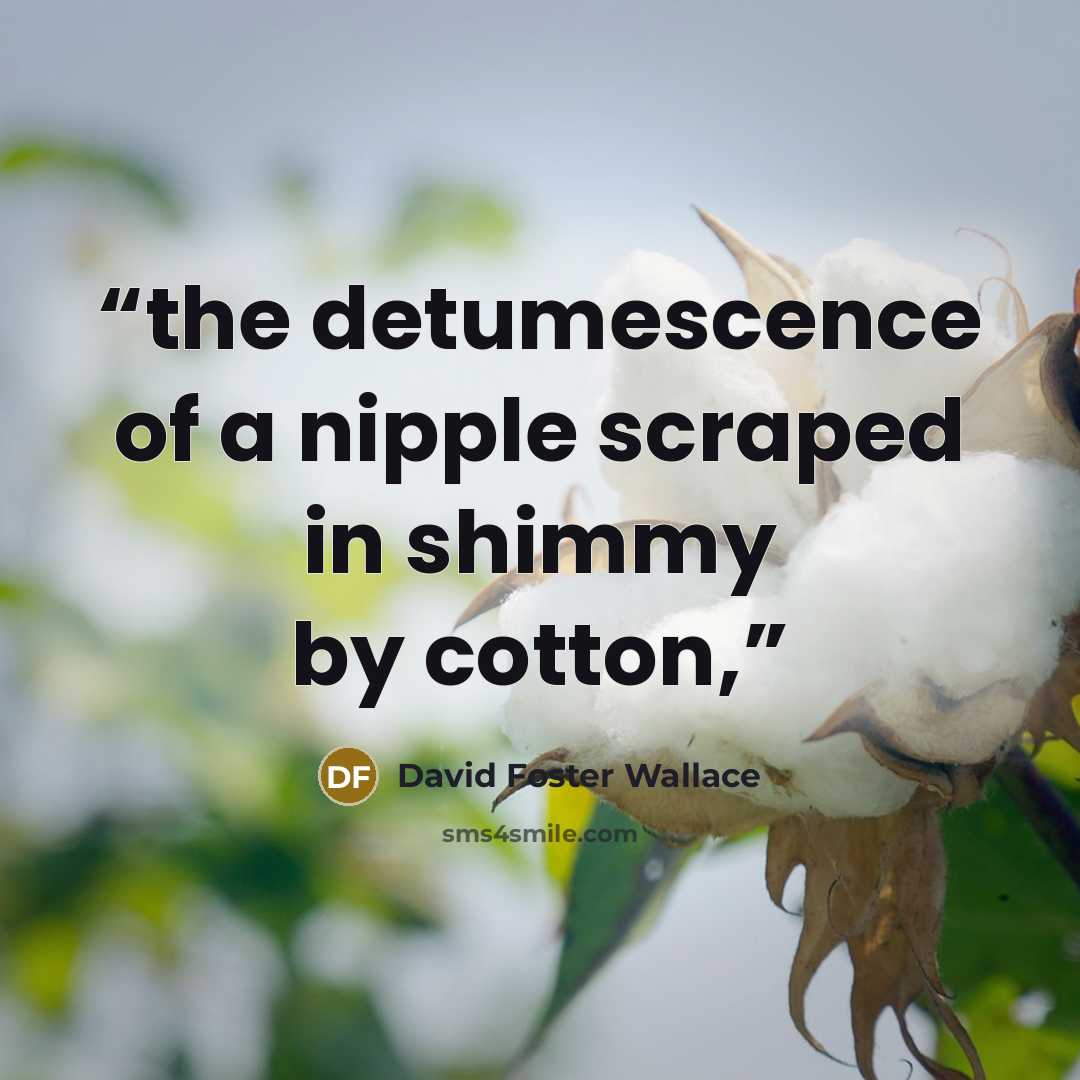 “the detumescence of a nipple scraped in shimmy by cotton,” quote by David Foster Wallace