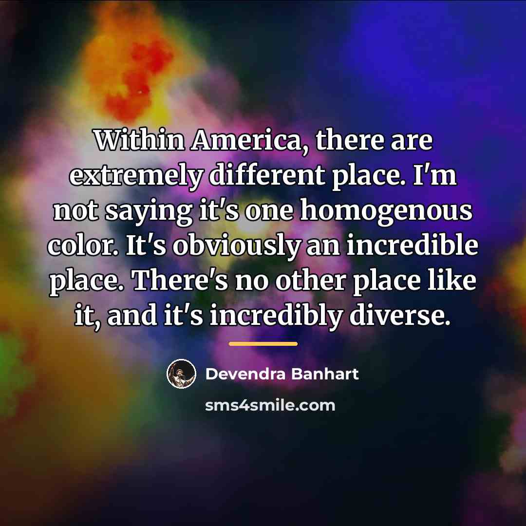 “Within America, there are extremely different place. I'm not saying…” quote by Devendra Banhart