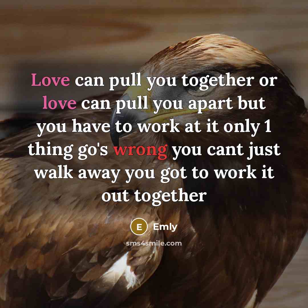 “Love can pull you together or love can pull you apart but you have to work at it only 1 thing go's wrong you cant just walk away you got to work it out together” quote by Emly