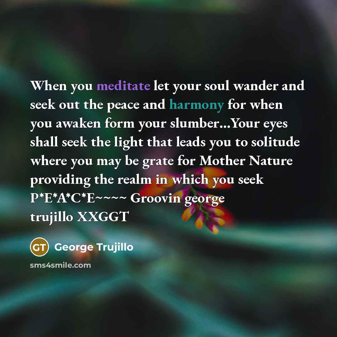 “When you meditate let your soul wander and seek out…” quote by George Trujillo