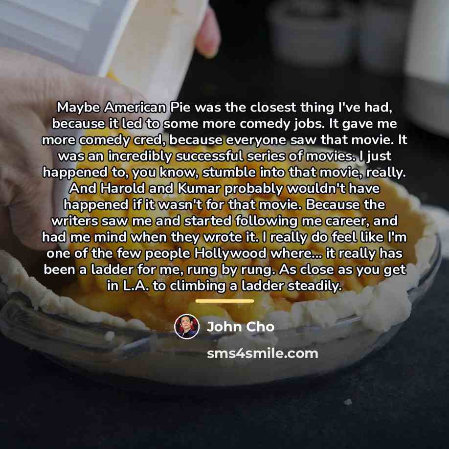“Maybe American Pie was the closest thing I've had, because…” quote by John Cho