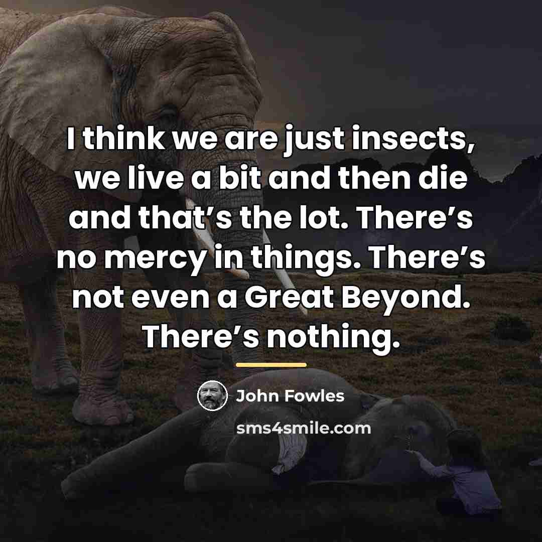 “I think we are just insects, we live a bit…” quote by John Fowles