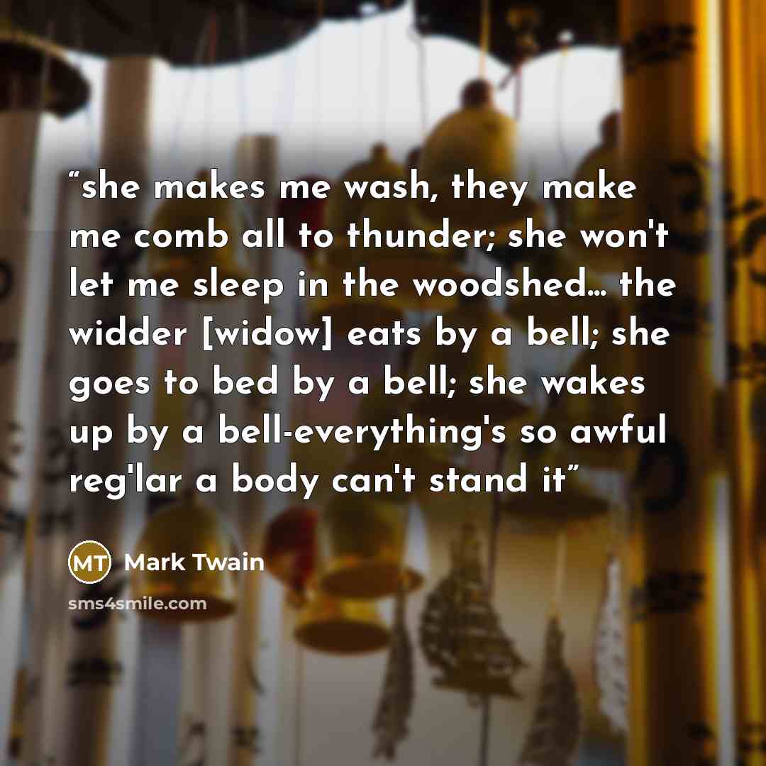 “she makes me wash, they make me comb all to thunder; she won't let me sleep in the woodshed... the widder [widow] eats by a bell; she goes to bed by a bell; she wakes up by a bell-everything's so awful reg'lar a body can't stand it” quote by Mark Twain