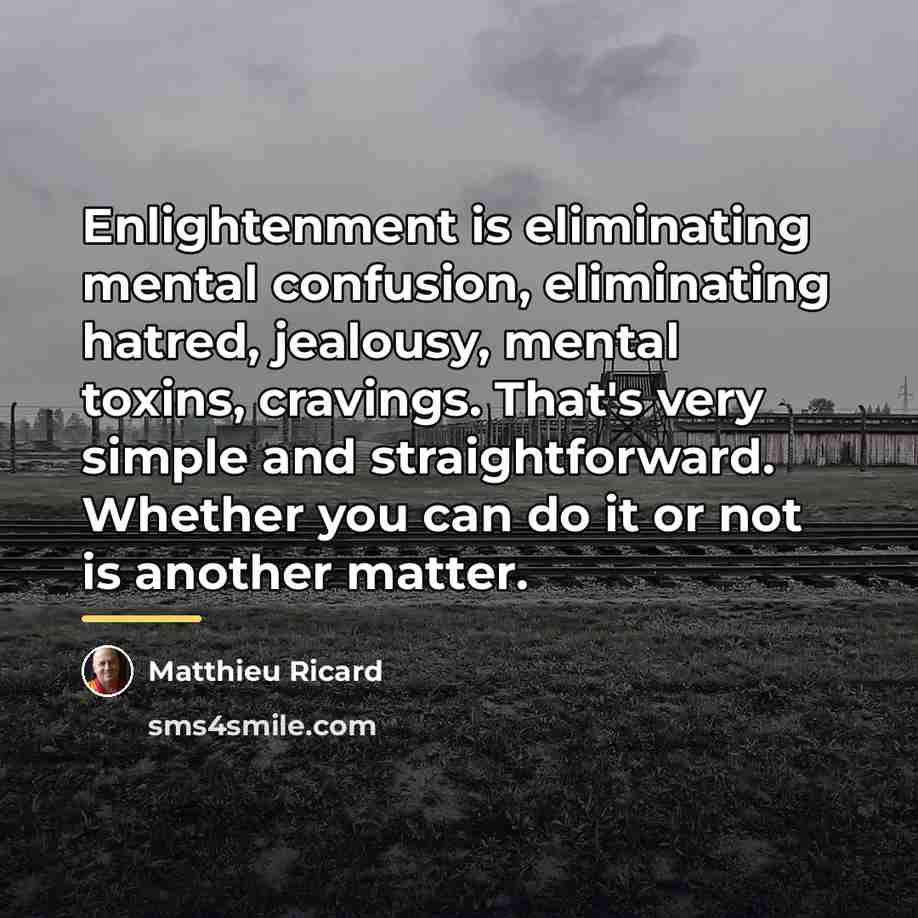 “Enlightenment is eliminating mental confusion, eliminating hatred, jealousy, mental toxins,…” quote by Matthieu Ricard