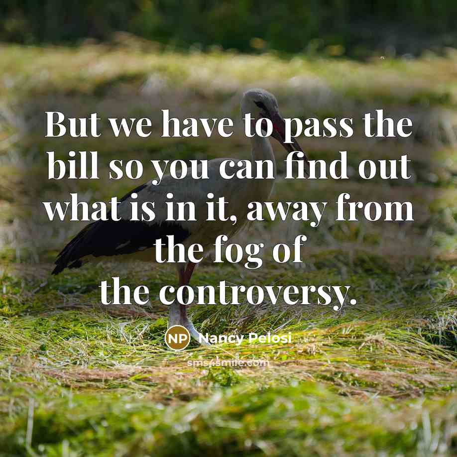 “But we have to pass the bill so you can…” quote by Nancy Pelosi