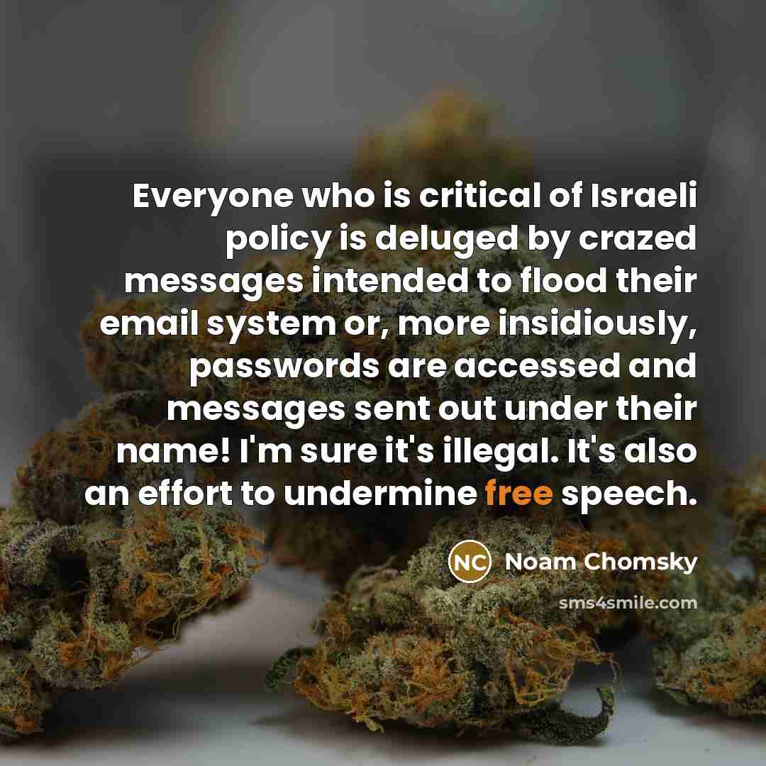 “Everyone who is critical of Israeli policy is deluged by…” quote by Noam Chomsky
