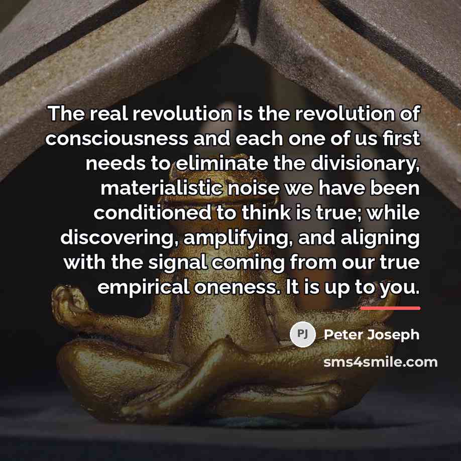 “The real revolution is the revolution of consciousness and each…” quote by Peter Joseph