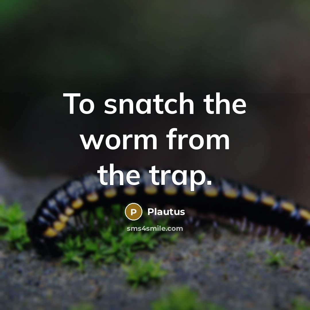 “To snatch the worm from the trap.…” quote by Plautus