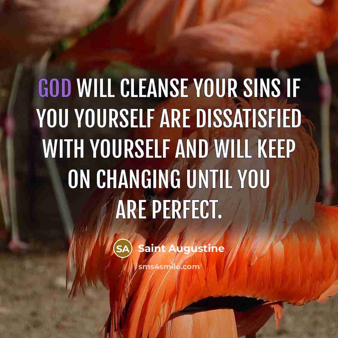“God will cleanse your sins if you yourself are dissatisfied…” quote by Saint Augustine