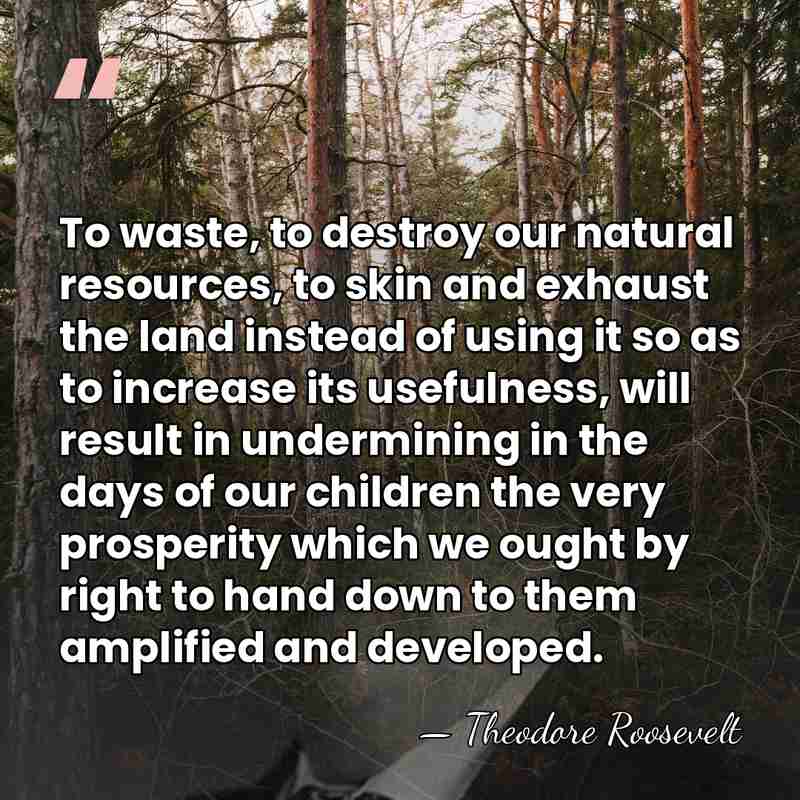 To waste, to destroy our natural resources, to skin and exhaust the&hellip; - Theodore Roosevelt