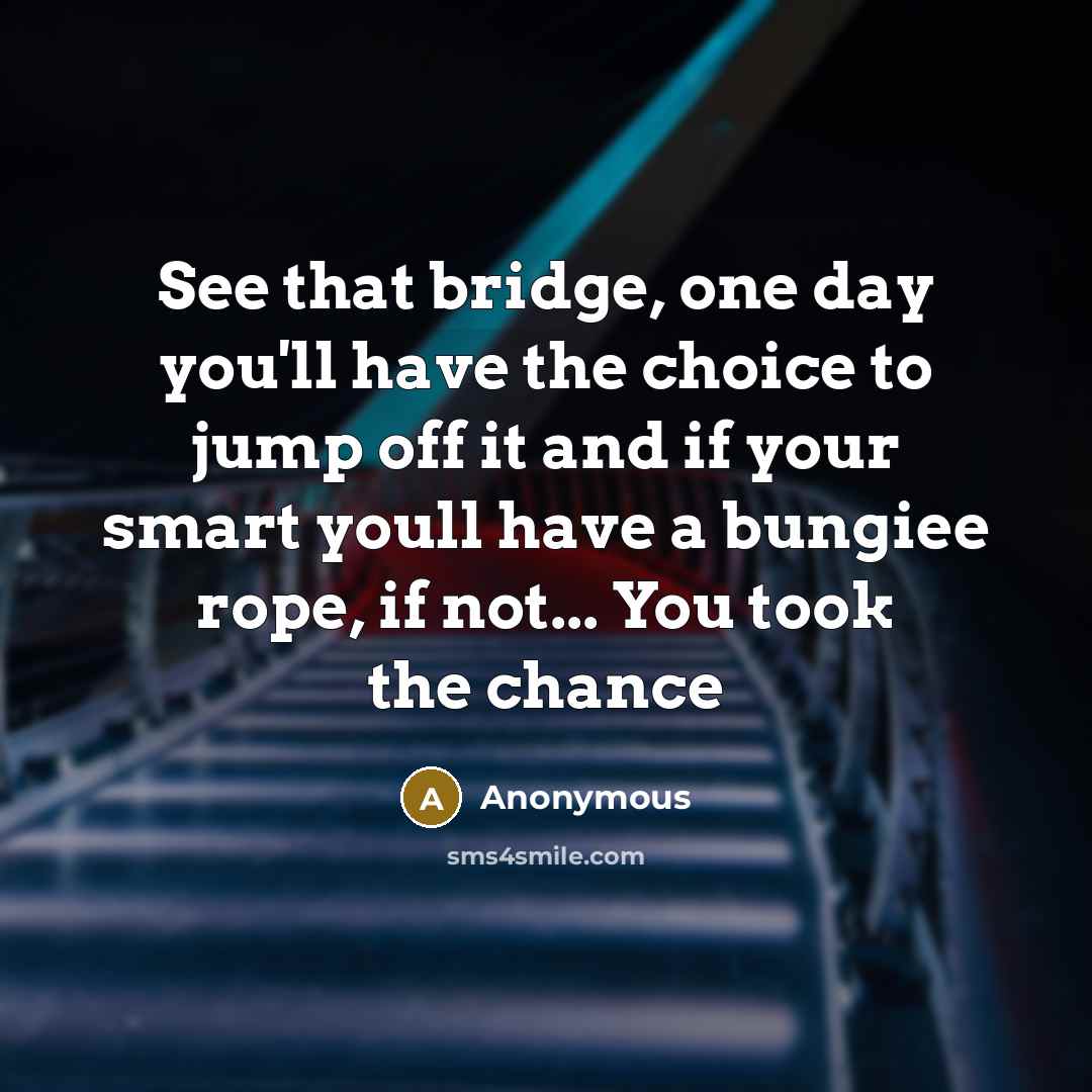 “See that bridge, one day you'll have the choice to jump off it and if your smart youll have a bungiee rope, if not... You took the chance” quote by Anonymous