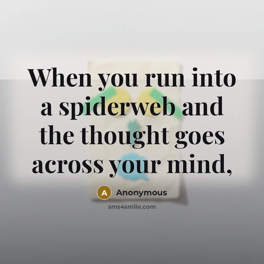 “When you run into a spiderweb and the thought goes across your mind,” quote by Anonymous