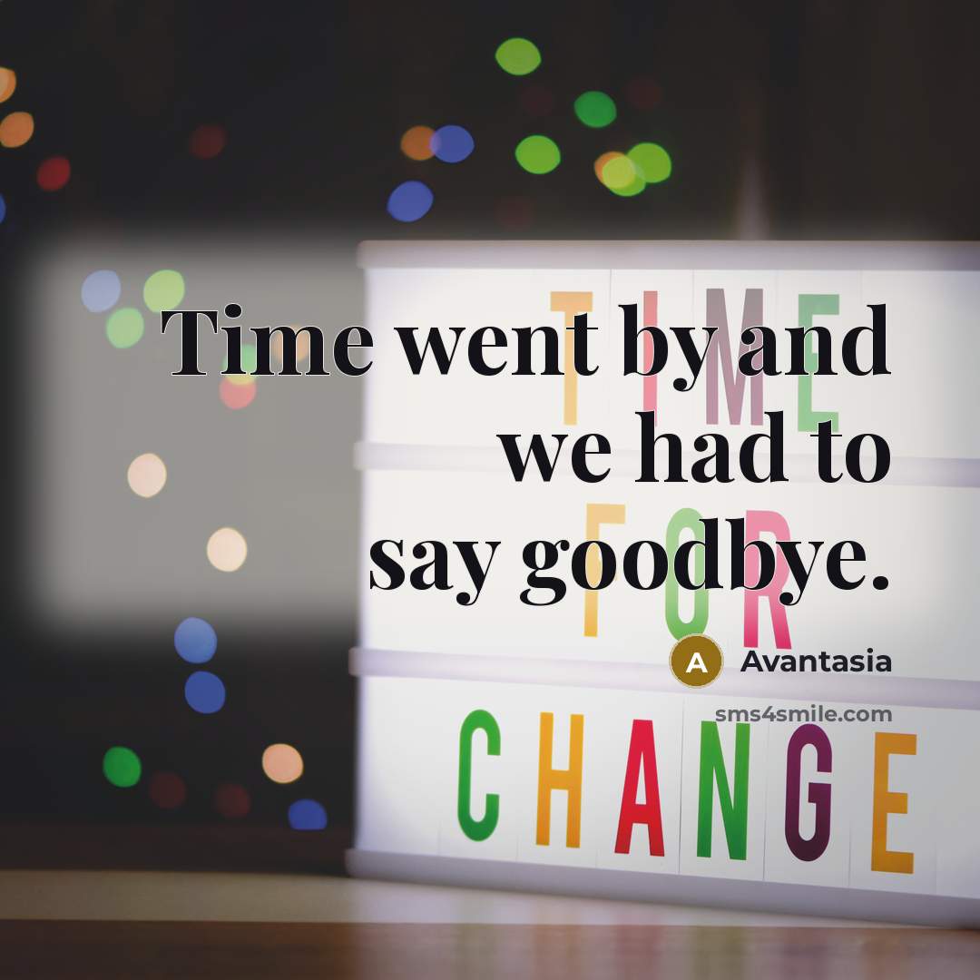“Time went by and we had to say goodbye.…” quote by Avantasia