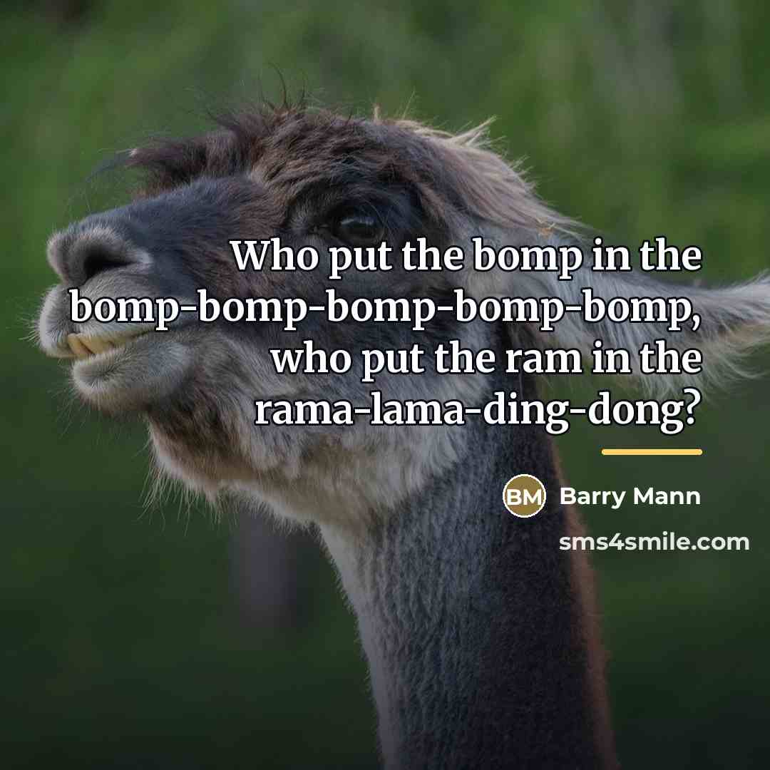 “Who put the bomp in the bomp-bomp-bomp-bomp-bomp, who put the…” quote by Barry Mann