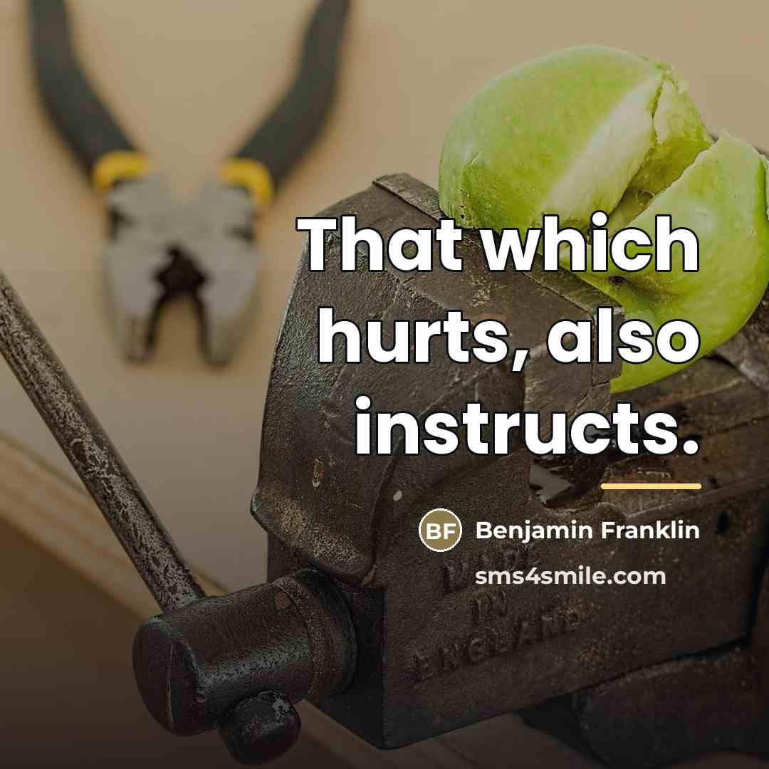 “That which hurts, also instructs.…” quote by Benjamin Franklin