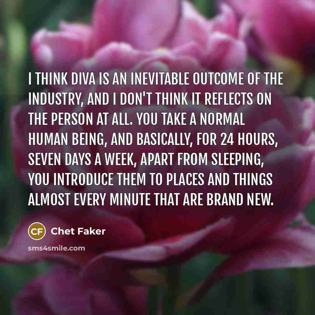 “I think diva is an inevitable outcome of the industry,…” quote by Chet Faker