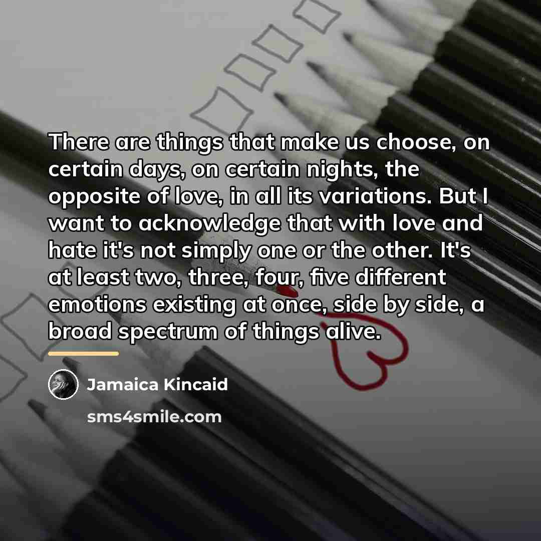 “There are things that make us choose, on certain days,…” quote by Jamaica Kincaid