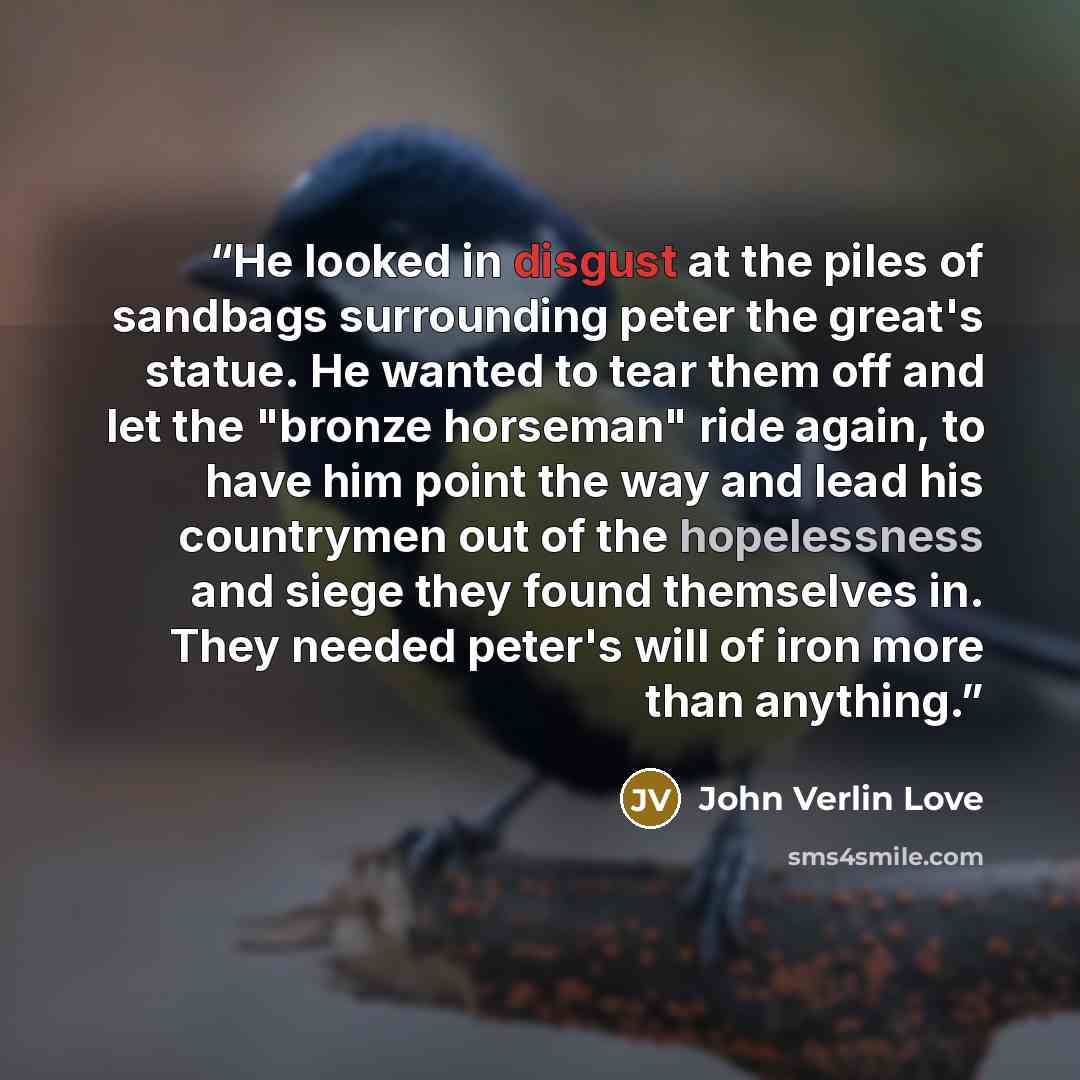 “He looked in disgust at the piles of sandbags surrounding peter the great's statue. He wanted to tear them off and let the "bronze horseman" ride again, to have him point the way and lead his countrymen out of the hopelessness and siege they found themselves in. They needed peter's will of iron…” quote by John Verlin Love