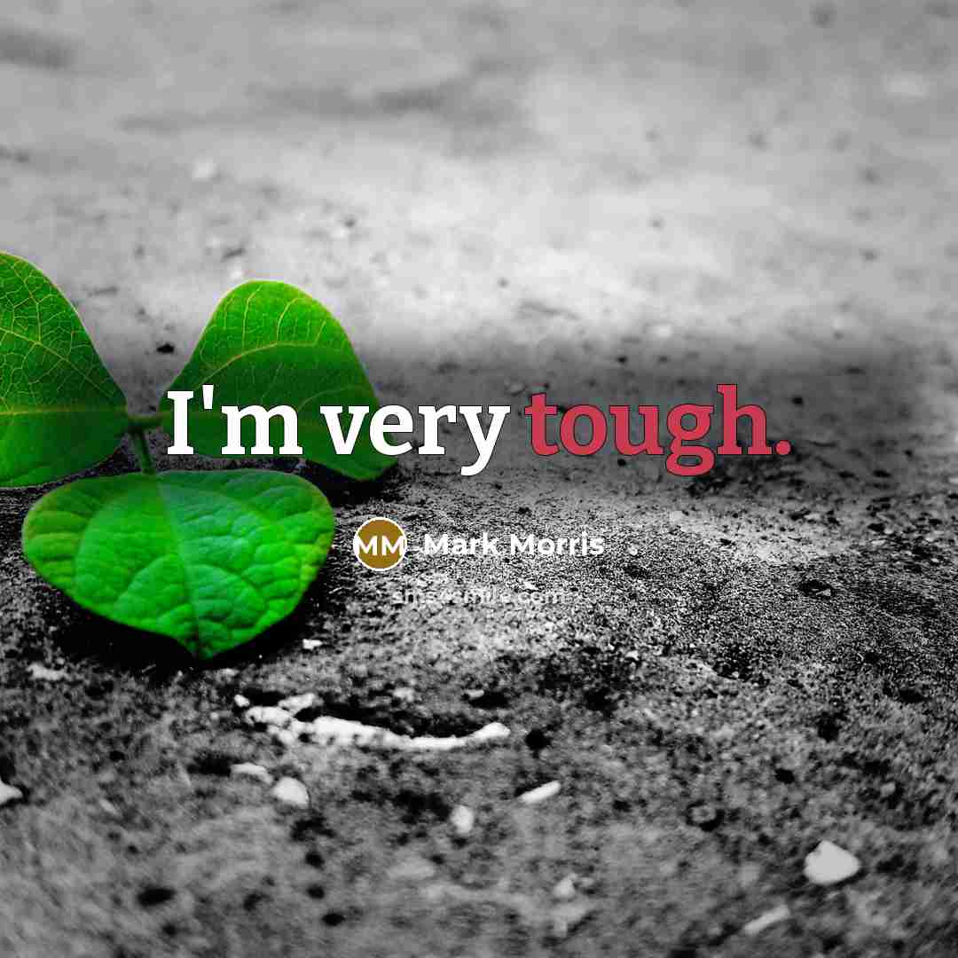 “I'm very tough.…” quote by Mark Morris