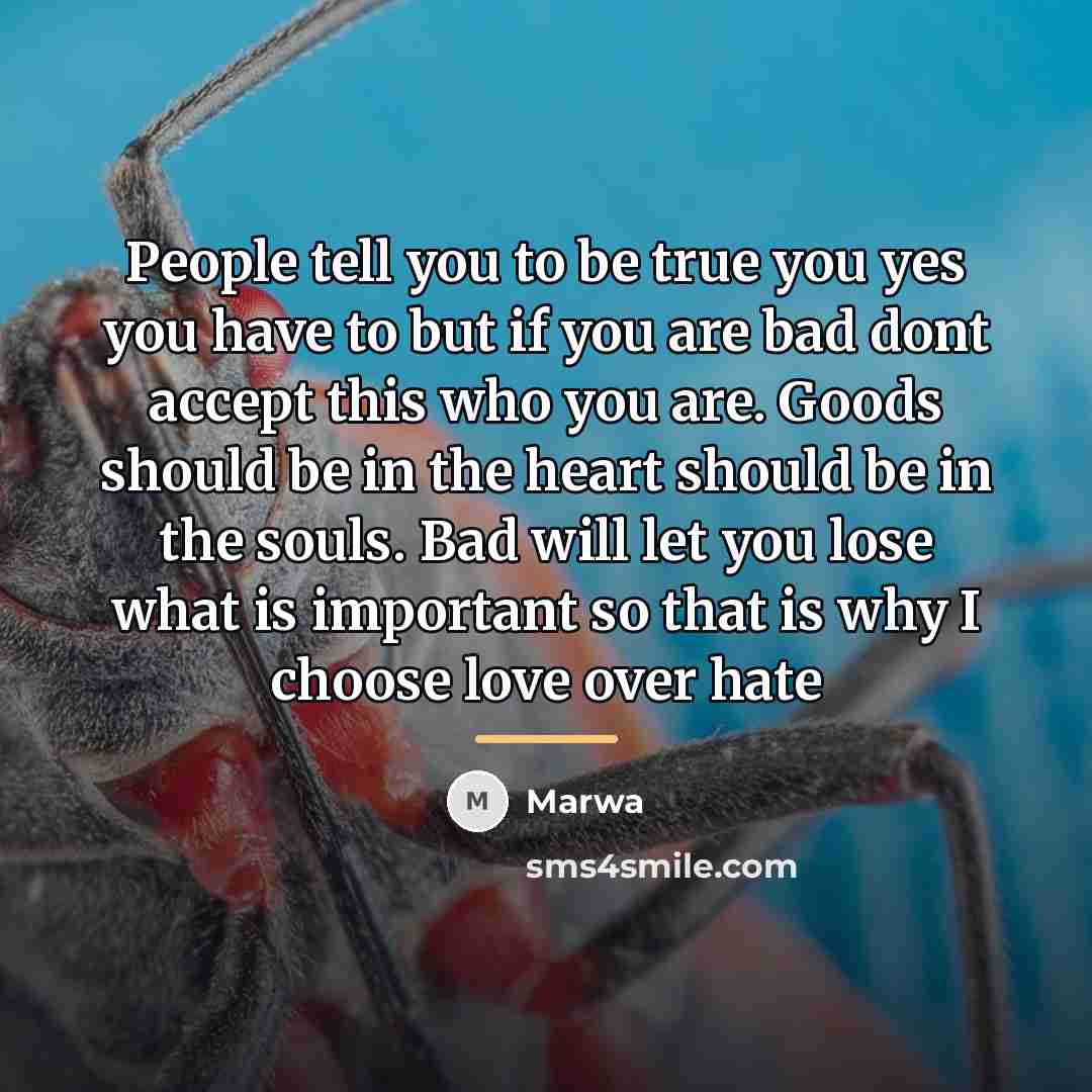 “People tell you to be true you yes you have…” quote by Marwa