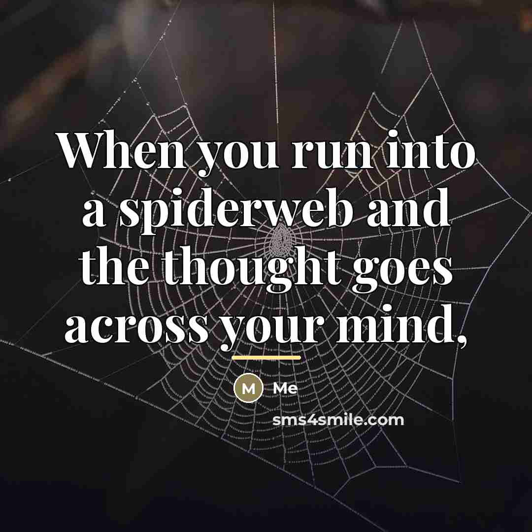 “When you run into a spiderweb and the thought goes…” quote by Me
