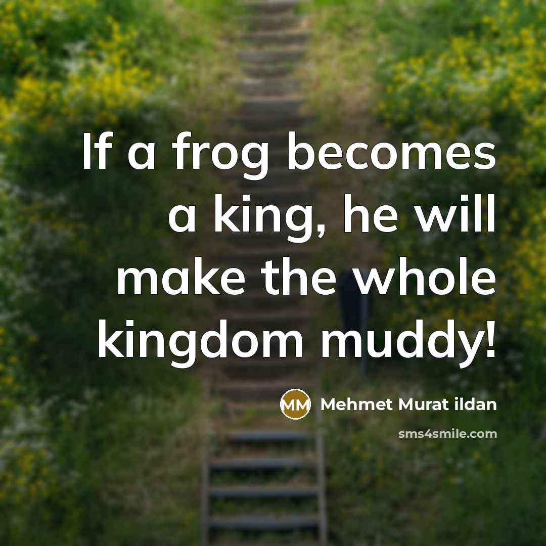 “If a frog becomes a king, he will make the…” quote by Mehmet Murat Ildan