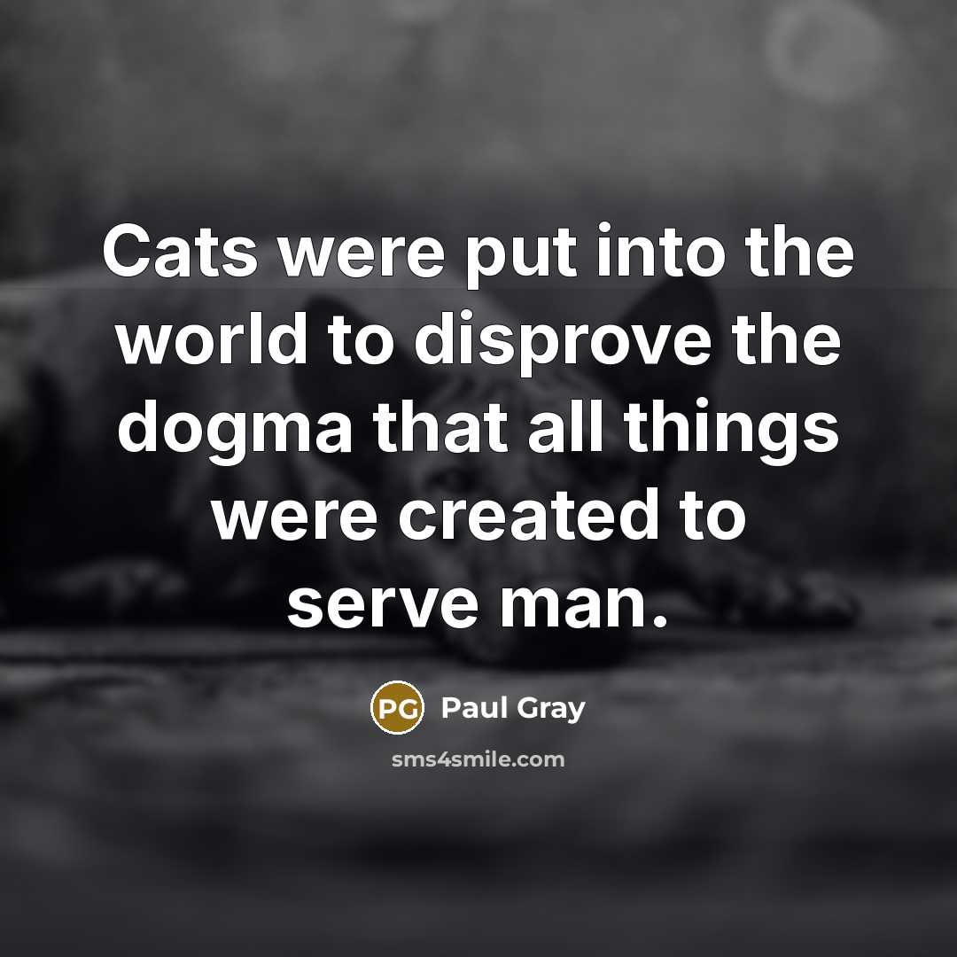 “Cats were put into the world to disprove the dogma…” quote by Paul Gray