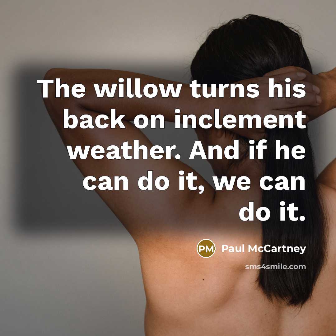 “The willow turns his back on inclement weather. And if…” quote by Paul McCartney