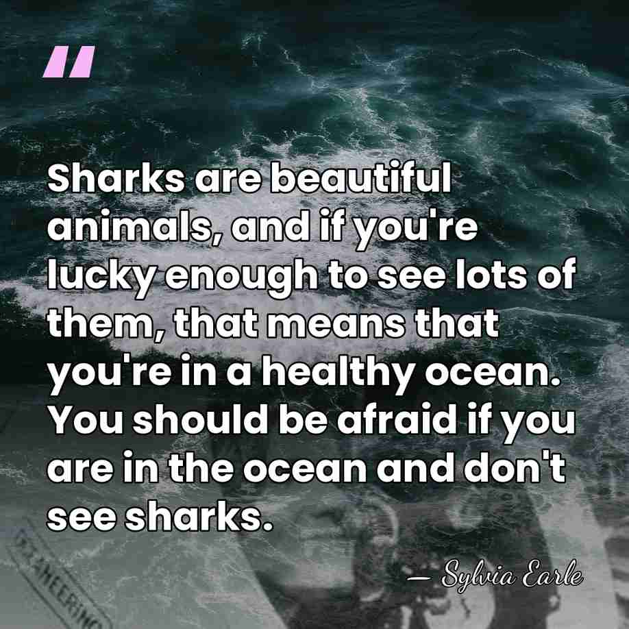 Sharks are beautiful animals, and if you're lucky enough to see lots&hellip; - Sylvia Earle