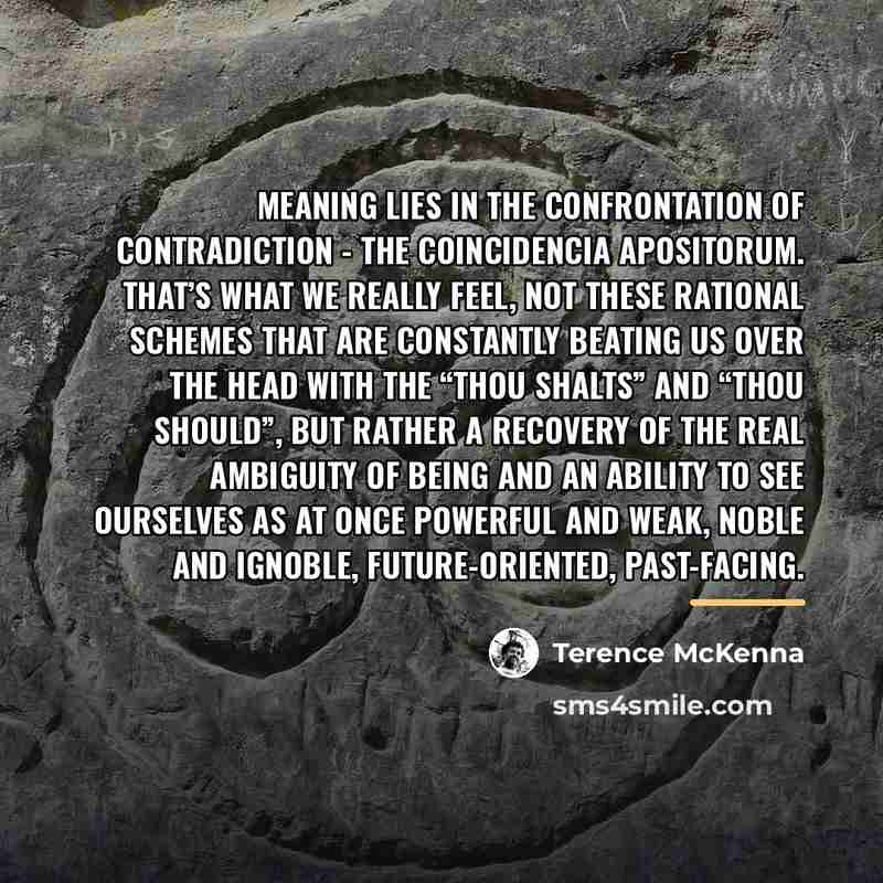 “Meaning lies in the confrontation of contradiction - the coincidencia…” quote by Terence McKenna