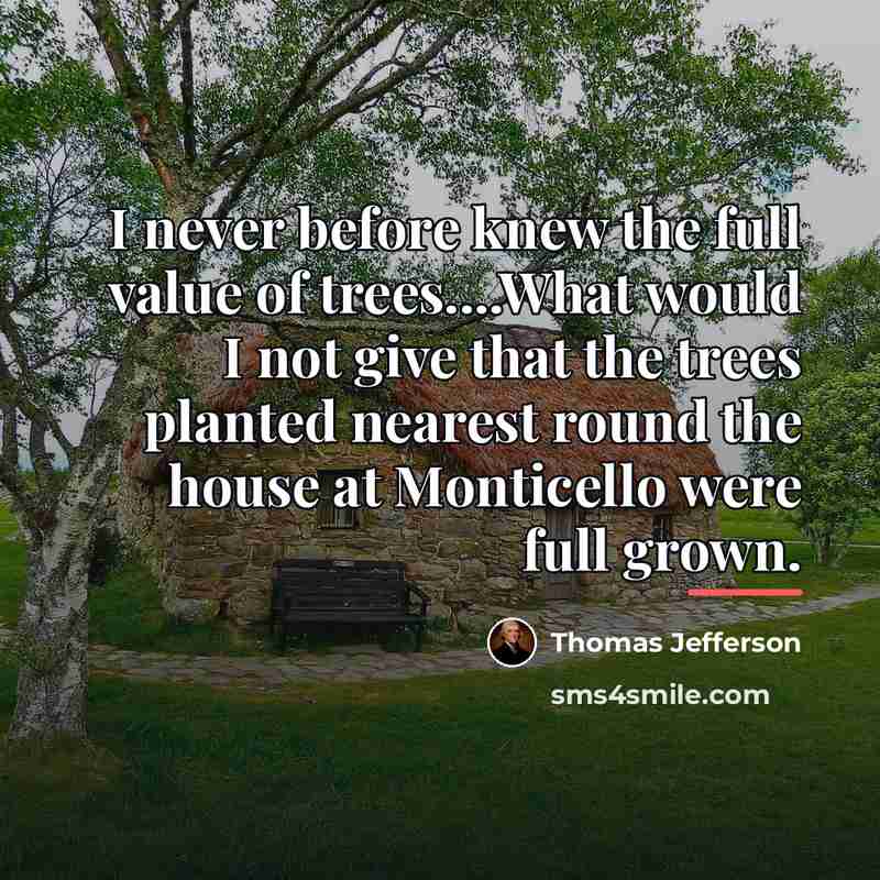 “I never before knew the full value of trees....What would…” quote by Thomas Jefferson
