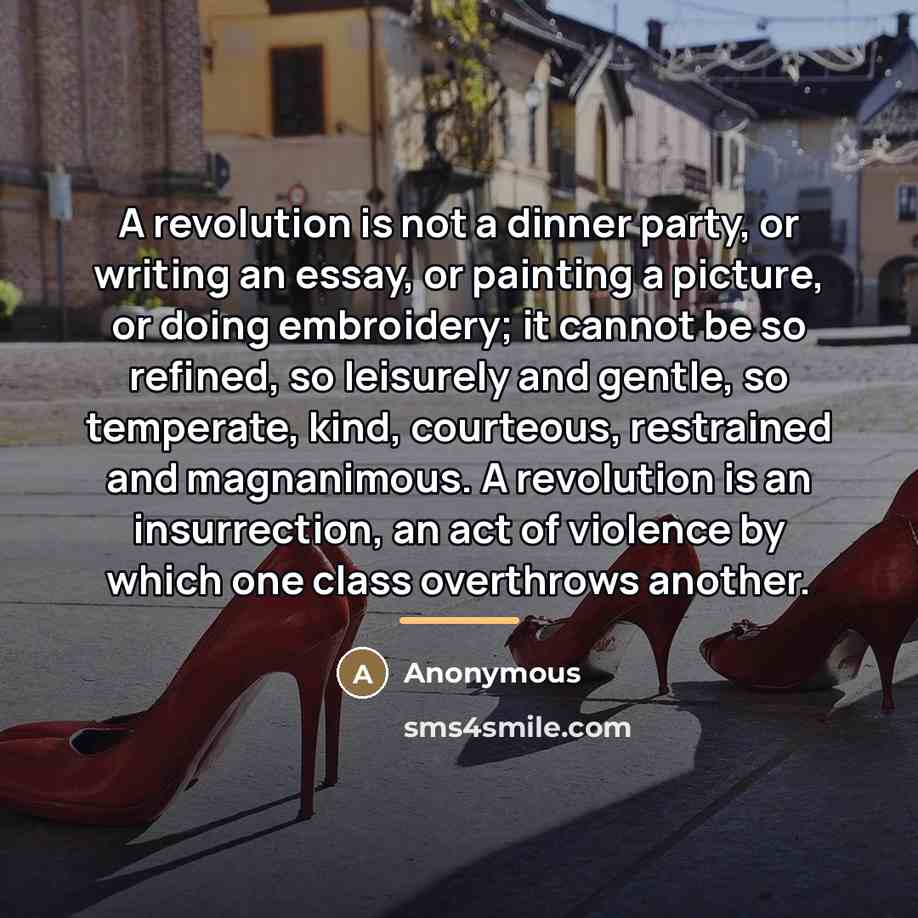 “A revolution is not a dinner party, or writing an…” quote by Anonymous