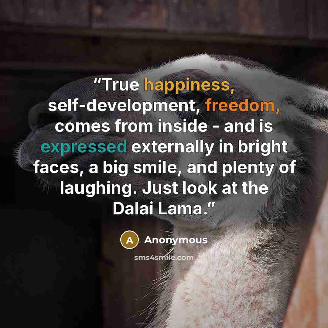“True happiness, self-development, freedom, comes from inside - and is expressed externally in bright faces, a big smile, and plenty of laughing. Just look at the Dalai Lama.” quote by Anonymous