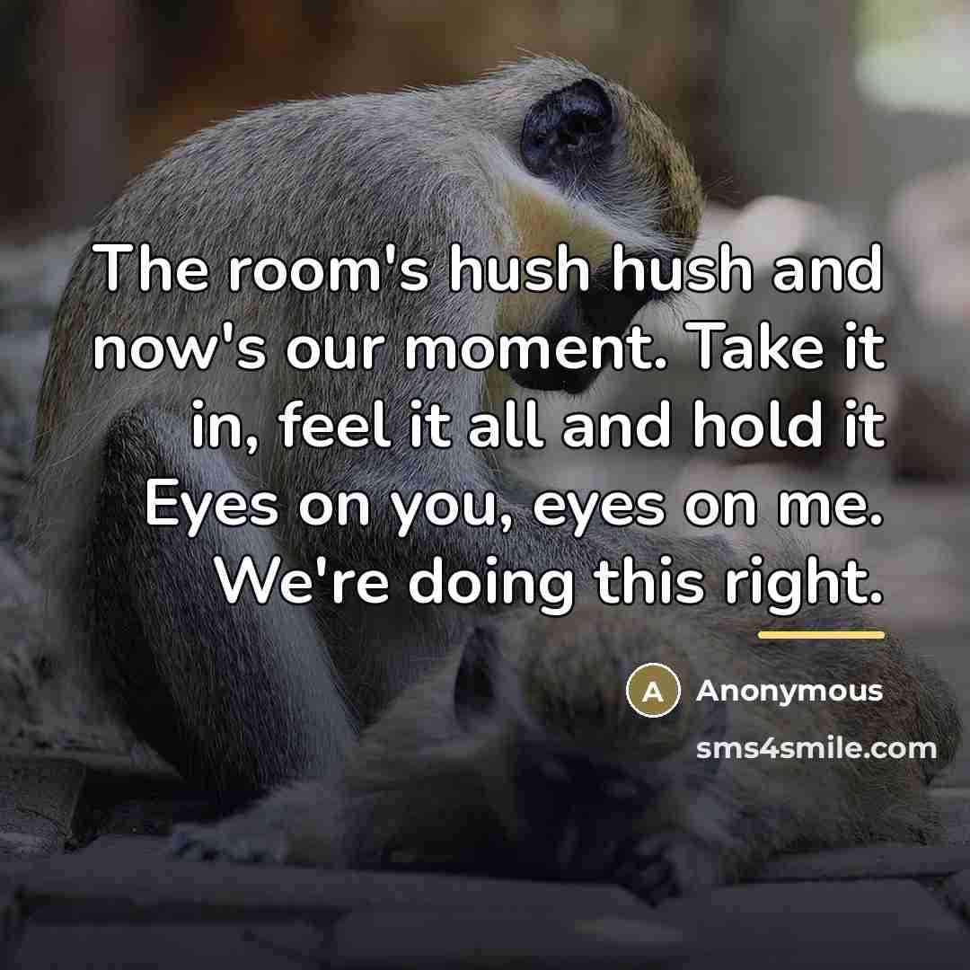 “The room's hush hush and now's our moment. Take it…” quote by Anonymous