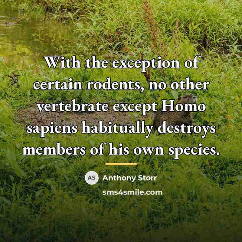 “With the exception of certain rodents, no other vertebrate except…” quote by Anthony Storr