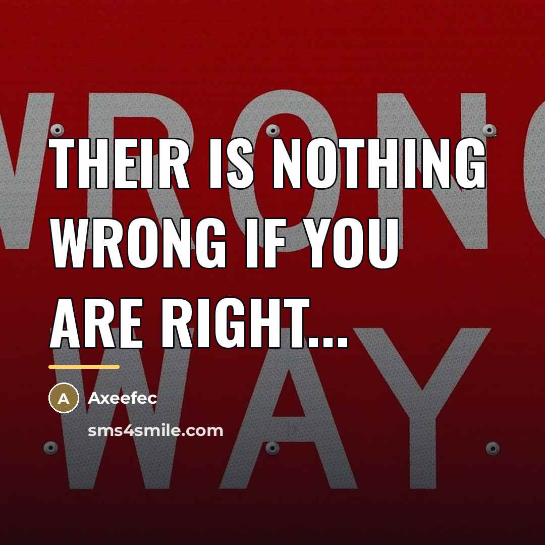 “Their is nothing wrong if you are right...…” quote by Axeefec