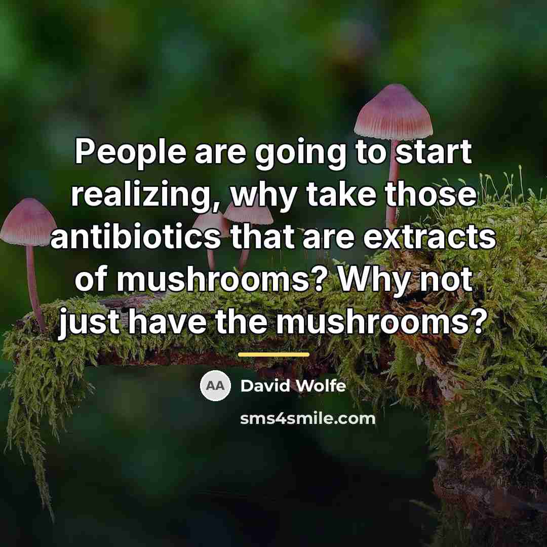“People are going to start realizing, why take those antibiotics…” quote by David Wolfe