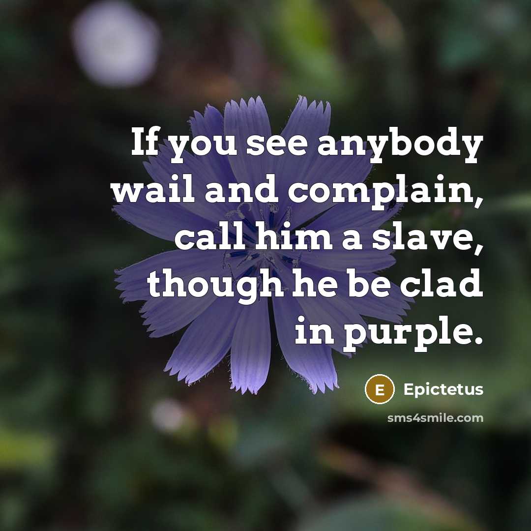 “If you see anybody wail and complain, call him a slave, though he be clad in purple.” quote by Epictetus